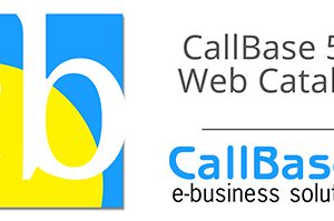 CallBase 5.0 Web Catalog