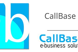 CallBase BI